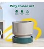 Soothing Rains Carton