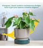 Soothing Rains Carton