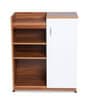 Soren Shoe Cabinet in Teak Finish