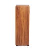 Soren Shoe Cabinet in Teak Finish