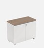 SOS Small File Cabinet in Everest White & Persian Walnut Finish with Lock