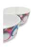 Soup Bowl Set