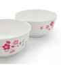 Soup Bowl Set