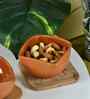 Sowpeace Premium Set of 2 Terracotta Square Serving Bowls