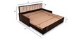 Spike Queen Size Pull-Out Sofa Cum Bed with Storage & Mattress in Beige Colour