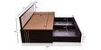 Spike Queen Size Pull-Out Sofa Cum Bed with Storage & Mattress in Beige Colour