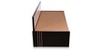 Spike Queen Size Pull-Out Sofa Cum Bed with Storage & Mattress in Beige Colour
