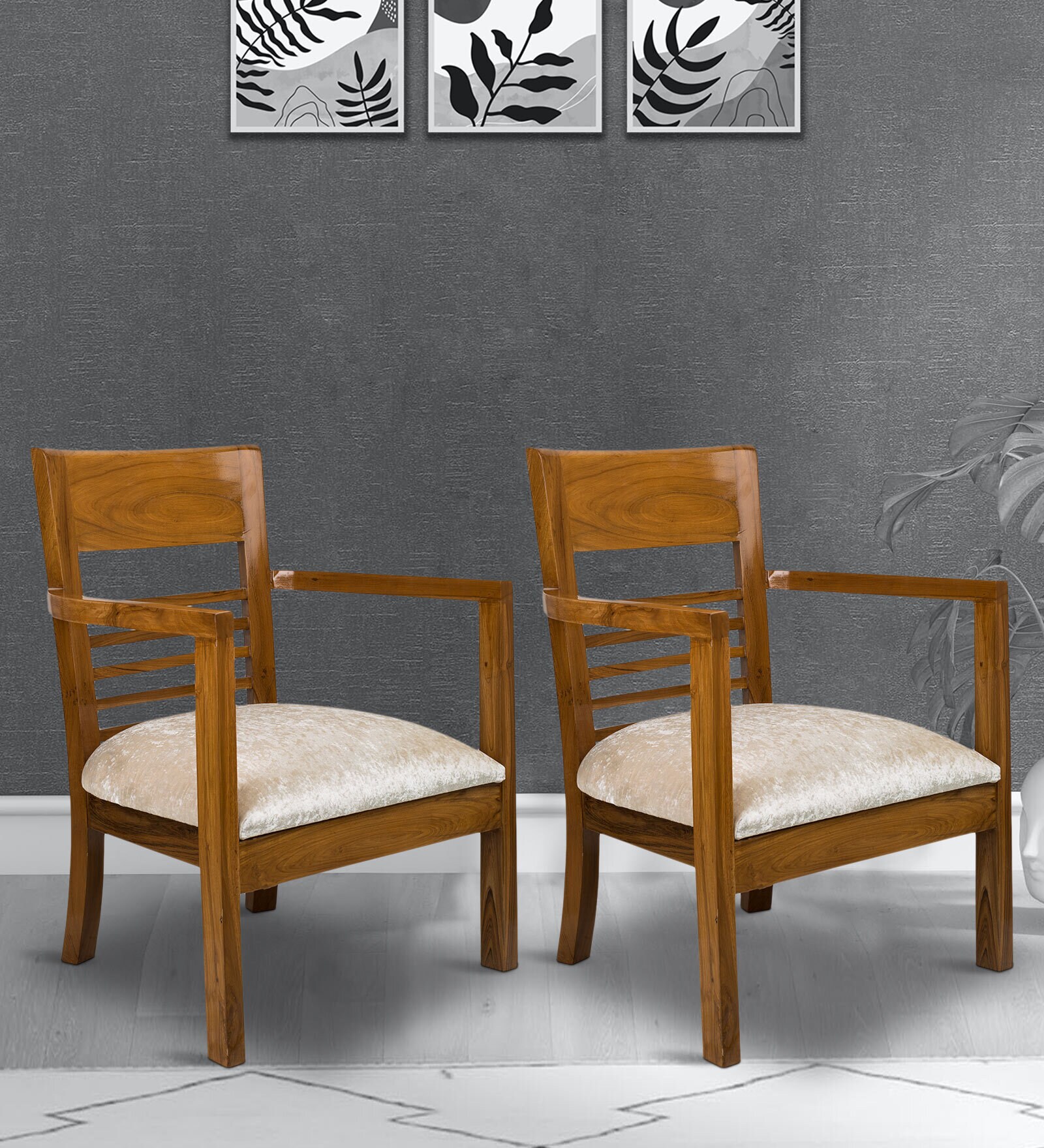Spring Arm Chair (Set of 2) in Teak Colour