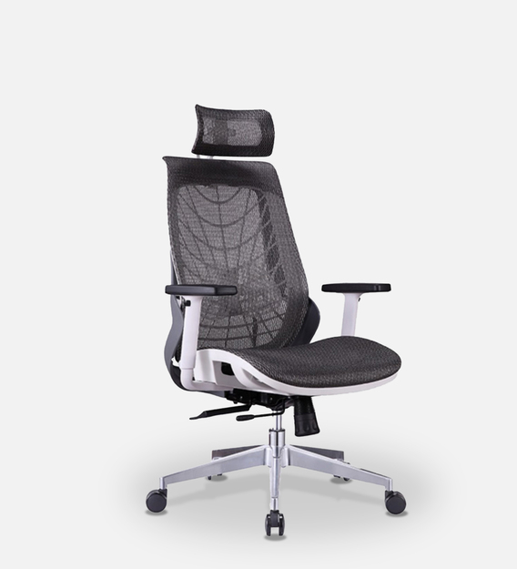 ergonomic back chair