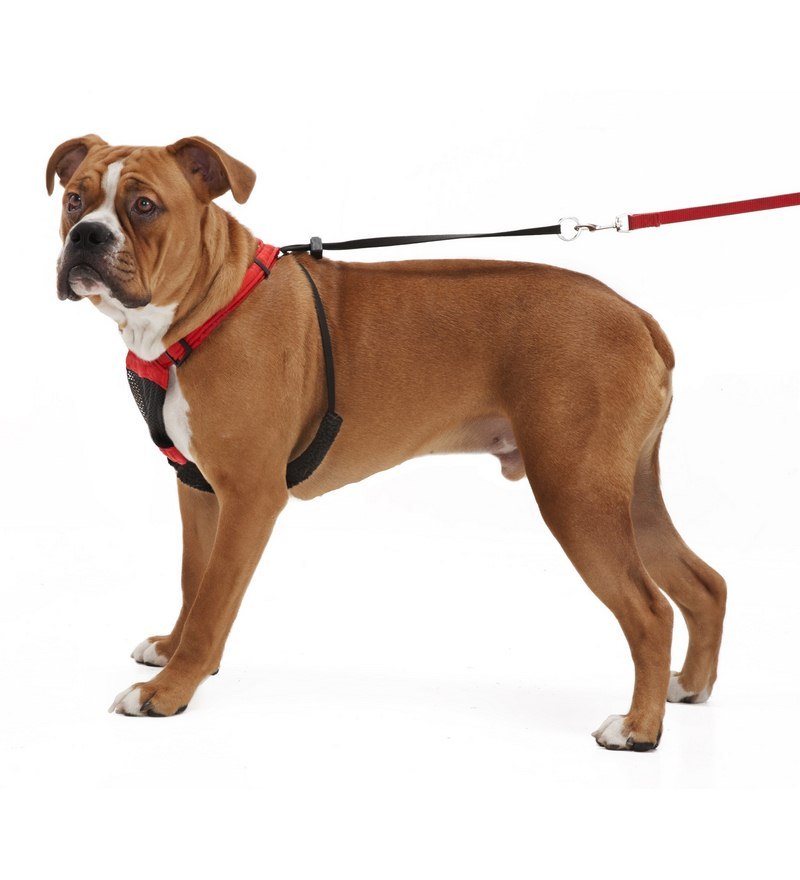 sporn non pull mesh harness