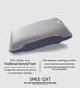 Spacesoft Memory Foam 16 x 25 Inch Sleeping Pillow (Pack of 2)