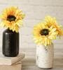 Spacio Multicolour Iron (Pack of 2) Vases