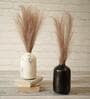 Spacio Multicolour Iron (Pack of 2) Vases
