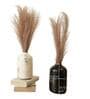 Spacio Multicolour Iron (Pack of 2) Vases
