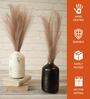 Spacio Multicolour Iron (Pack of 2) Vases