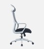 Spade Breathable Mesh  Ergonomic Chair In Grey Colour