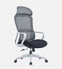 Spade Breathable Mesh  Ergonomic Chair In Grey Colour