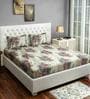 Sparkle 100% Cotton 144TC Double Bedsheet with 2 Pillow Covers