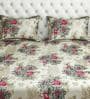 Sparkle 100% Cotton 144TC Double Bedsheet with 2 Pillow Covers