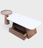 Spectra Nesting Centre Tables In Chestnut Beige Finish