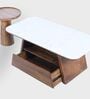 Spectra Nesting Centre Tables In Chestnut Beige Finish