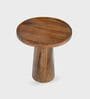 Spectra Side Table In Brown Finish