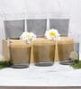 Spectrum Glow Borosilicate Glass Tumblers
