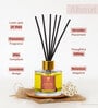 Spiced Apple Aroma Reed Diffuser Set | 100Ml