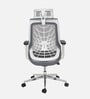 Spider Breathable Mesh Ergonomic Chair in White & Grey Colour