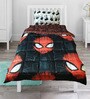 Spider-Man Comforter Set in Black colour
