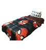 Spider-Man Comforter Set in Black colour