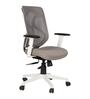 Spider Mid Back Ergonomic Chair In Grey Colour