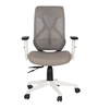 Spider Mid Back Ergonomic Chair In Grey Colour