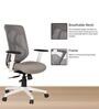 Spider Mid Back Ergonomic Chair In Grey Colour