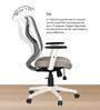 Spider Mid Back Ergonomic Chair In Grey Colour