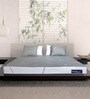 Orthopedic 6 inch Memory Foam Single Mattress in Grey Colour