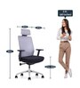 Spine Breathable Mesh Ergonomic Chair in Grey Colour