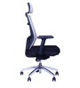 Spine Breathable Mesh Ergonomic Chair in Grey Colour