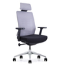 Spine Breathable Mesh Ergonomic Chair in Grey Colour