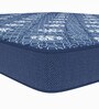 Spinebond Anti Sag 5 inch Rebonded Foam Queen Size Mattress