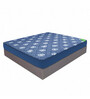 Spinebond Anti Sag 5 inch Rebonded Foam Queen Size Mattress
