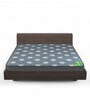 Spinebond 4 inch Rebonded Foam Single Mattress