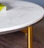 Splinder Metal Coffee Table in White & Natural Finish