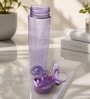 Sports Transparent Purple 900ml Bottle
