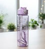 Sports Transparent Purple 900ml Bottle