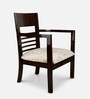 Spring Arm Chair (Set of 2) in Brown Colour