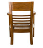 Spring Arm Chair (Set of 2) in Teak Colour