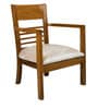 Spring Arm Chair (Set of 2) in Teak Colour