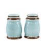 Spring Garden Salt Cellar Set