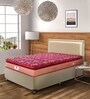 Spring Koil Reversible 8 inch Bonnell Spring Queen Size Mattress in Dark Maroon Colour (With 2 Free Pillows)